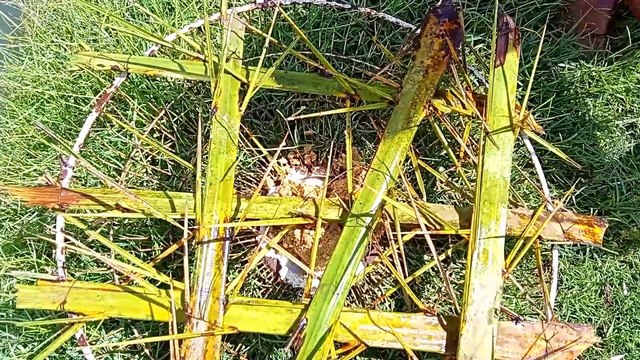 New Best Hook Fishing Video Traditional Boy Hunting Big Fish With Hook By River #fishing 2