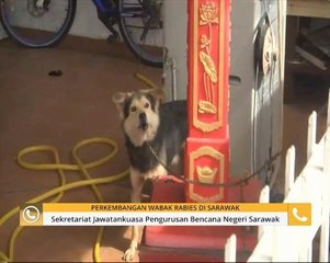 Perkembangan wabak Rabies di Sarawak