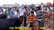হাটে গরুর দাম নিয়ে ক্রেতা বিক্রেতার মধ্যে তুমুল ঝগড়া | Cow market in Bangladesh | Vumika TV