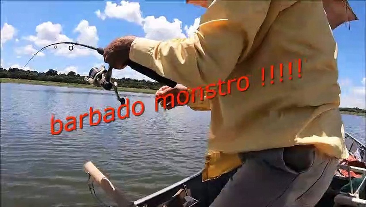 BARBADO MONSTRO , MEIA HORA DE  BRIGA !!!!