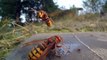 Breathtaking Flight Maneuvers of Hornets in Slow Motion