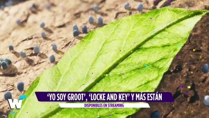 Groot, Andrew Garfield, hermanos Locke, los Pj Masks y más estrenos en el ‘¿QHFS?' || Wipy TV