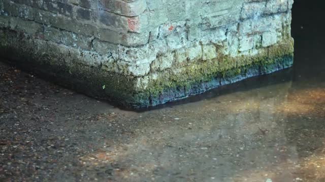 Reino Unido se enfrenta a una de las peores sequías de su historia