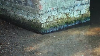 Reino Unido se enfrenta a una de las peores sequías de su historia