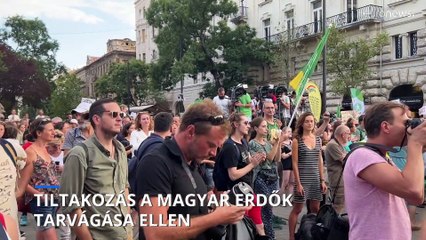 Ezrek tüntettek a magyar erdőkért a Kossuth téren