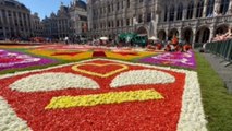 Unas 400.000 flores tapizan desde este viernes la icónica Grand Place de Bruselas (V)