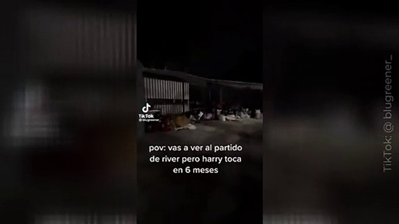 ¿Exceso de fanatismo? Seguidoras de Harry Styles en Argentina hacen fila 5 meses antes del concierto