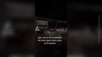 ¿Exceso de fanatismo? Seguidoras de Harry Styles en Argentina hacen fila 5 meses antes del concierto