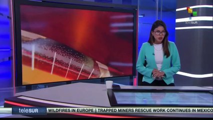 FTS 18:30 12-08: Colombia recognizes the negotiators of the ELN delegation