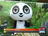 Panda cetus fenomena