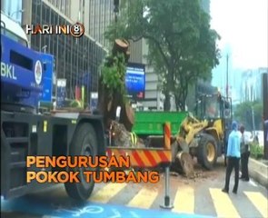 Fokus Hari Ini 8 Malam: Sedia boikot EU, Dua beranak didakwa & Pengurusan pokok tumbang