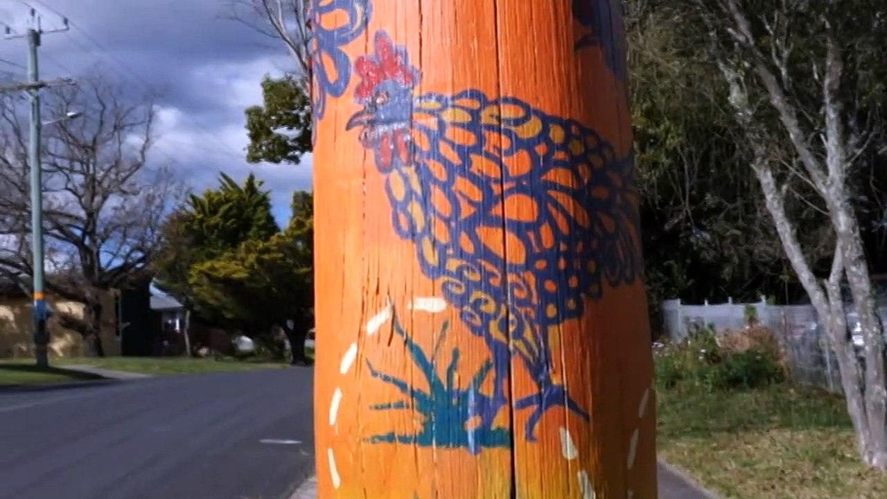 Local artists in NSW town of Cobargo are decorating the streets to bring back morale following last years bush fires