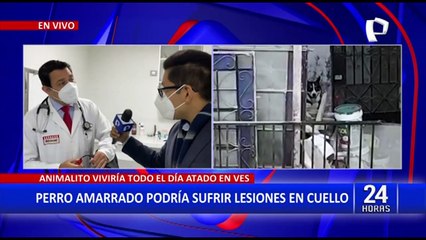 ¡Cuidado al atar a su perro! Especialista explica las lesiones que podría sufrir su mascota