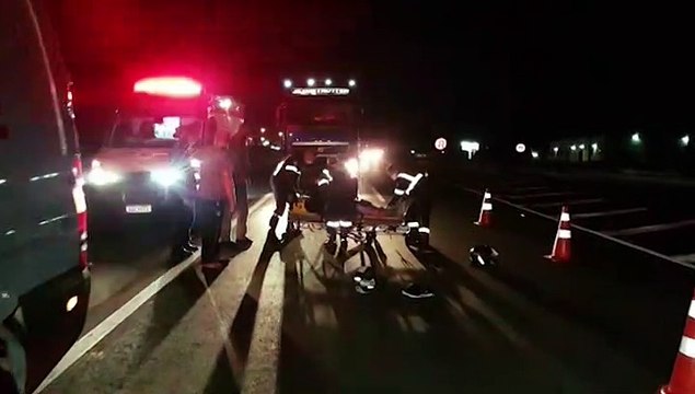 Duas pessoas ficam feridas após motocicleta atingir cachorro na BR-277, nas proximidades do Aeroporto