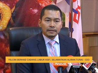 Felcra berhad cadang labur aset, selamatkan aliran tunai - CEO