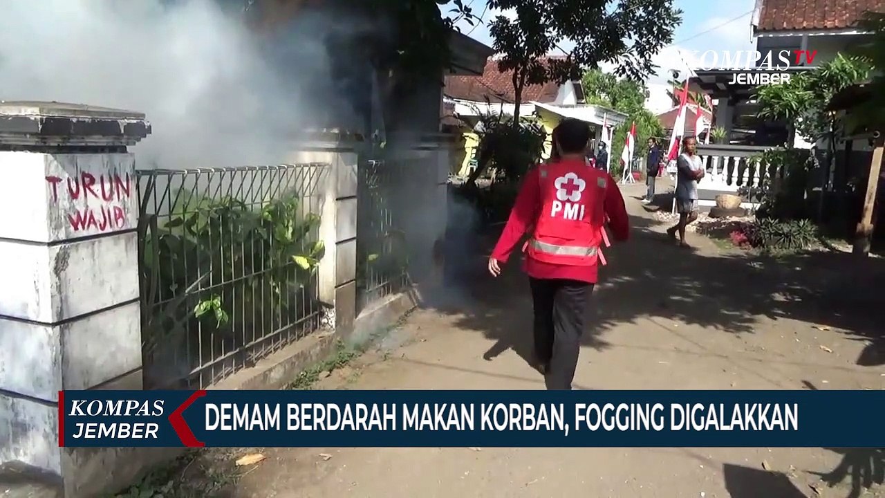 Demam Berdarah Makan Korban, PMI Gencar Fogging