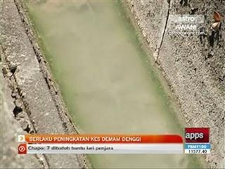 Berlaku peningkatan kes demam denggi