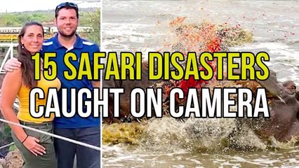 15 Times Safaris Have Gone Wrong And Caught On Camera