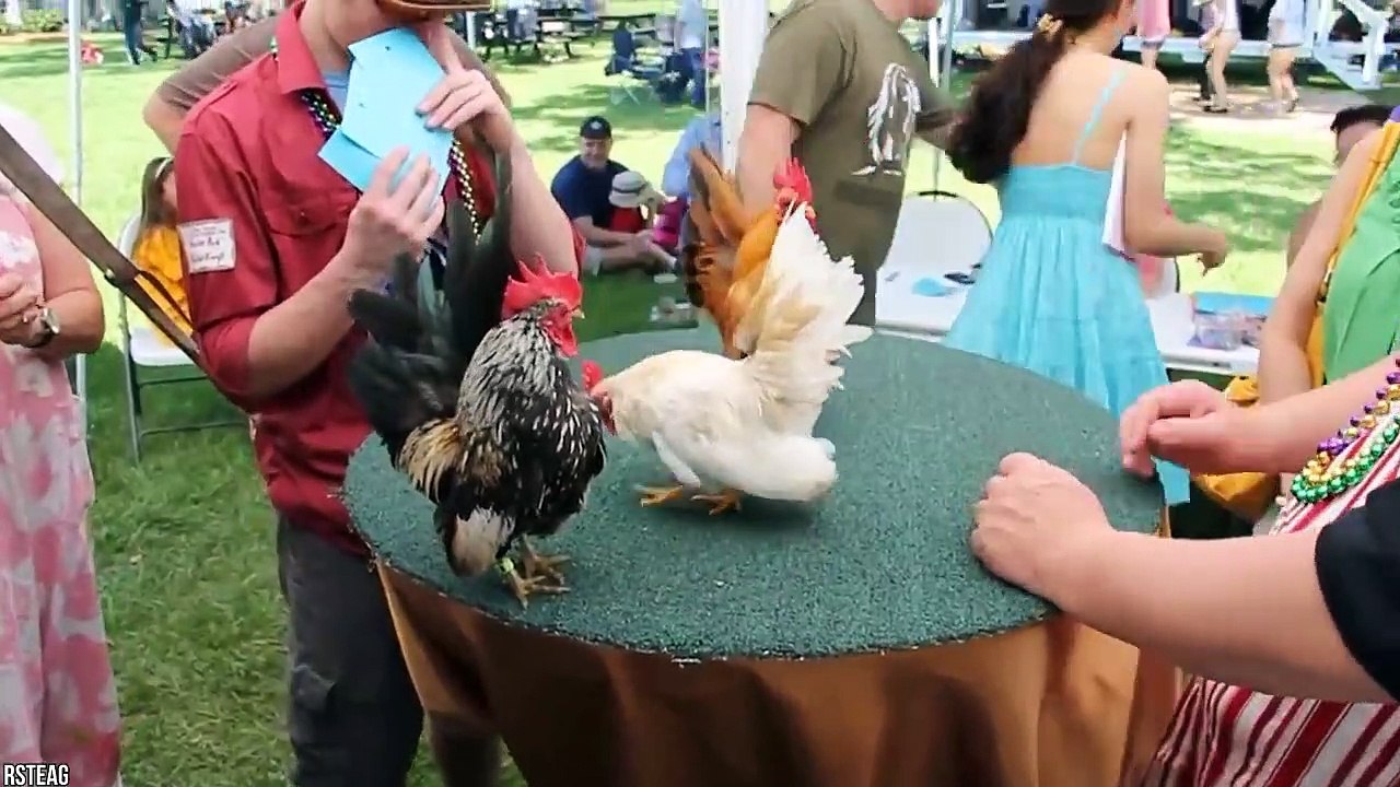 15 Horrifying Animals We’ve Bred Into Existence