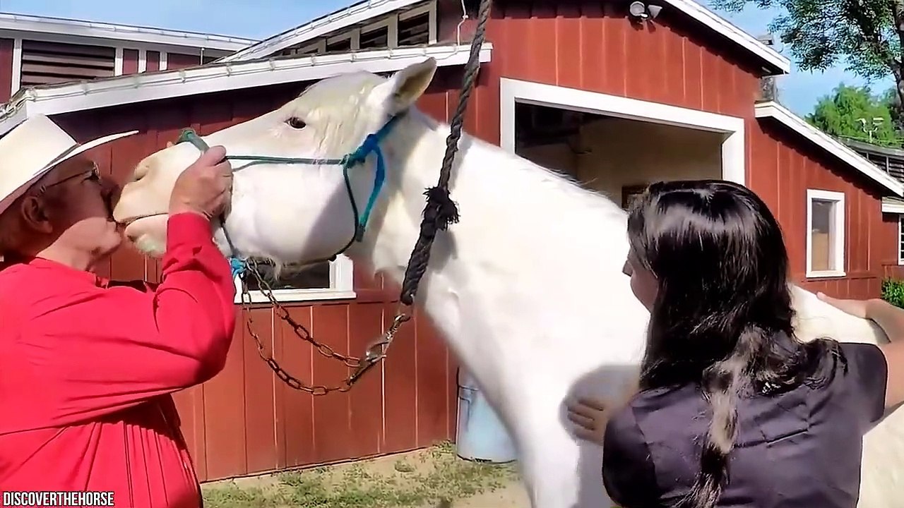 15 Unique Animals You Won't Believe Exist