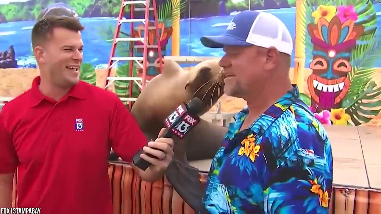 15 Dangerous Animals CAUGHT Being Friendly!