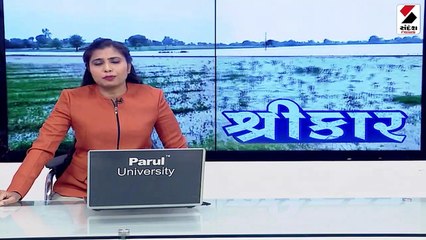 પાટણમાં સતત બીજા દિવસે વરસાદી માહોલ