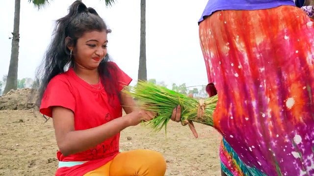 Tui Tui Funny Video Comedy video, Try Not To Laugh, comedy videos, Funny video 2022, New Tik Tok Video, comedy video, prank video, funny video,funny videos