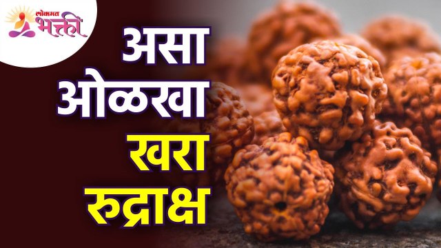 खरा रुद्राक्ष कसा ओळखावा? How to know real Rudraksh? Rudraksh Information | Lokmat Bhakti