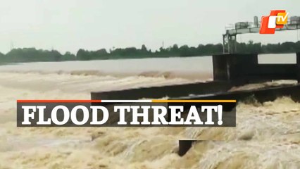 Baitarani River In Spate As Rainfall Continues In Odisha