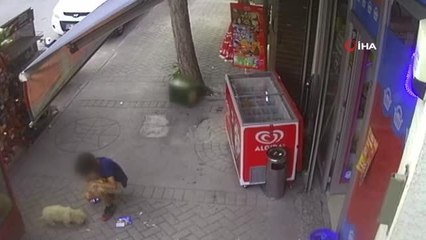 Yavru köpeği önce sevdi, sonra böyle çaldı