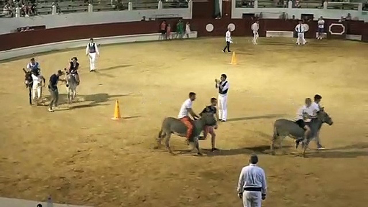 11.08.2022  St Sever  Ganaderia Maynus Cuadrilla  Olivier Barrere Course Mixte  Les Anes