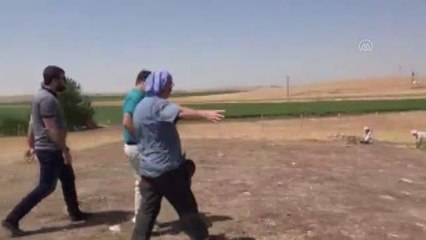 Şanlıurfa kültür sanat haberleri: ŞANLIURFA - Sefertepe'de arkeolojik kazılara başlandı