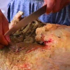 O.M.G Man Eating Fresh Stomach COW