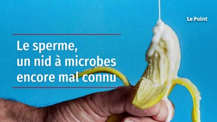 Le sperme, un nid à microbes encore mal connu