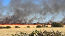 Firefighters continue to tackle a large grass fire which broke out in West Lothian three days ago.