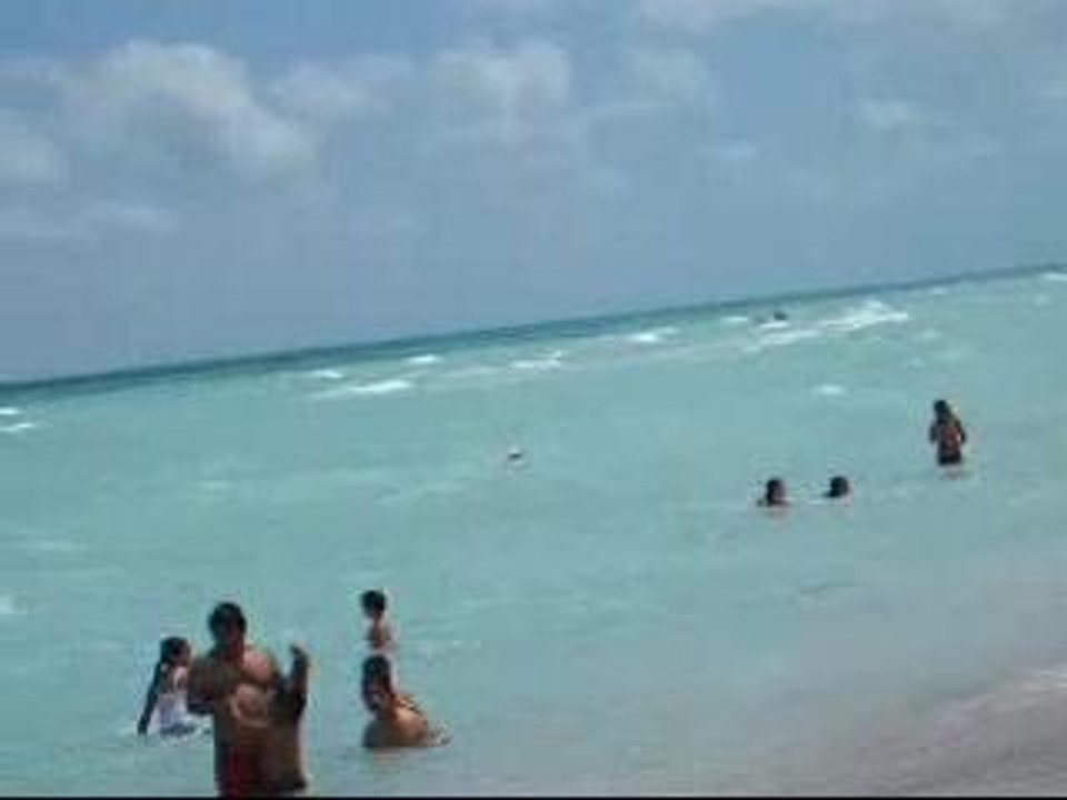 Miami, the sea, the sun, hot guyz