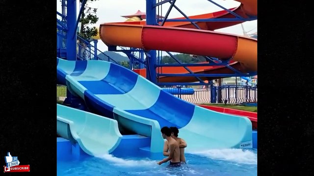 Best Funny Comedy Videos Funny Animals Fun More