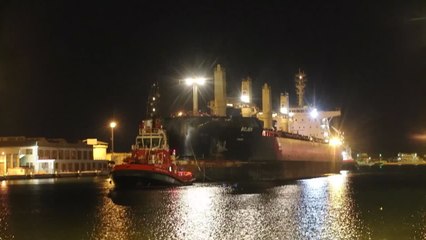 Ucraina, nave arrivata a Ravenna: le operazioni di scarico dureranno 30 ore