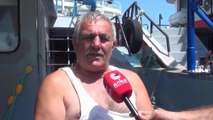 Sinop yerel haberleri: Sinoplu Balıkçılar 1 Eylül'e Hazırlanıyor: 