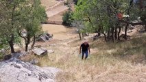 Kars haberi... Yaban hayvanları susuz kalmasın diye dağ dağ gezip oyukları temizliyor