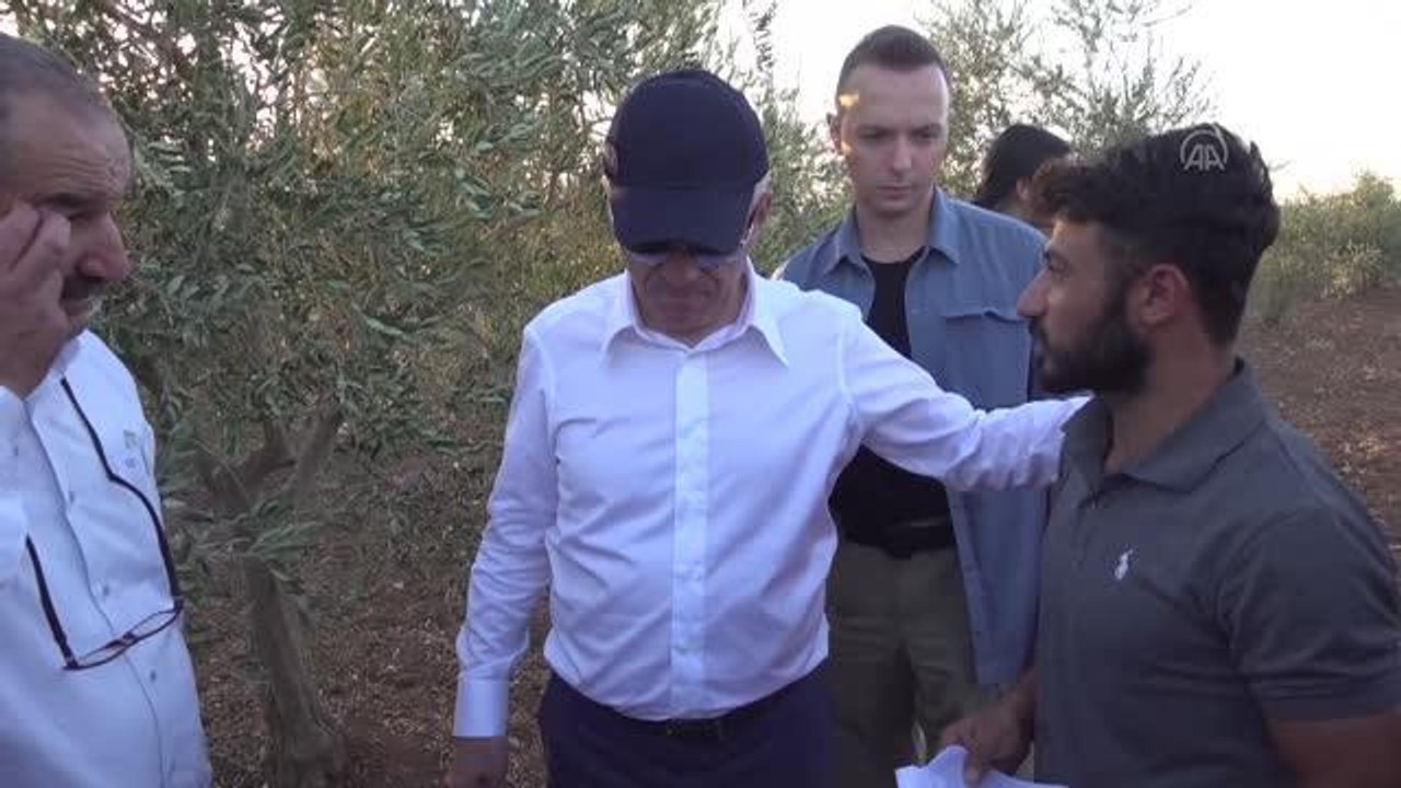Şırnak haber... Şırnak Valisi Bilgin, İdil'deki zeytin ve fıstık bahçelerinde incelemede bulundu