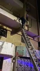 انقاذ قطة من السقوط من بلكونة منزل بالمنيا