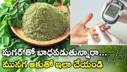 షుగర్ తో బాధపడుతున్నారా, మునగ ఆకుతో ఇలా చేయండి *Health | Telugu OneIndia