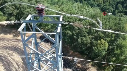 Yüksek gerilime kapılan karga yangına neden oldu