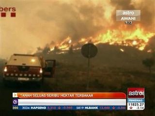 Tanah seluas seribu hektar terbakar