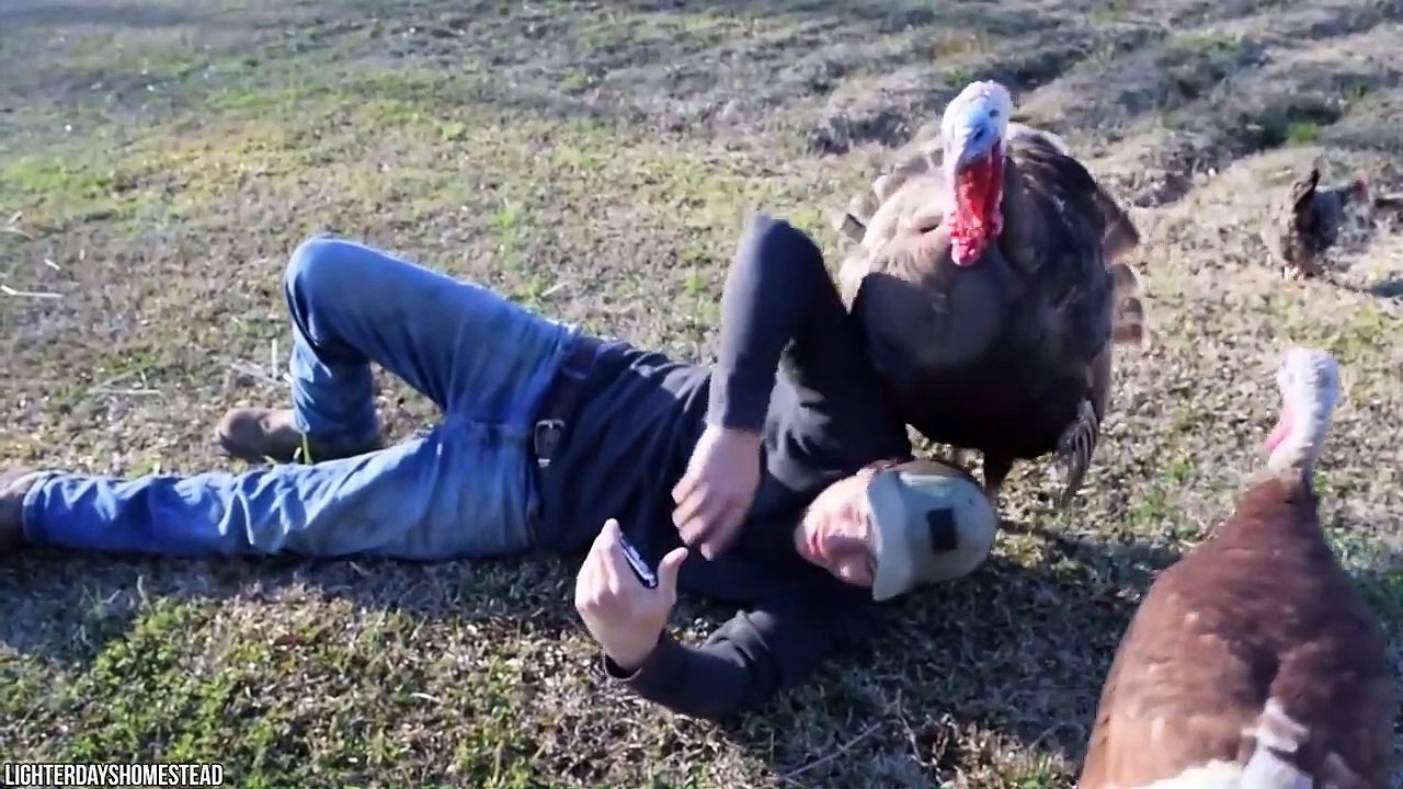 15 Times Wild Animals Surprised Photographers