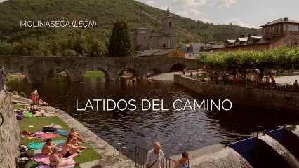 Latidos del Camino- Molinaseca, la universidad jacobea