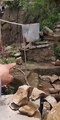 مواطن من فيفاء يروي لحظات نجاته من انهيار صخري