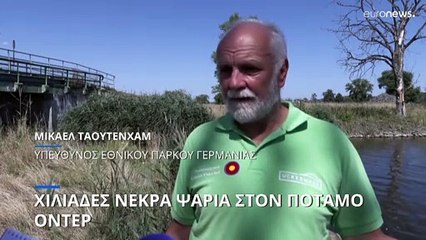 Χιλιάδες νεκρά ψάρια στον ποταμό Όντερ