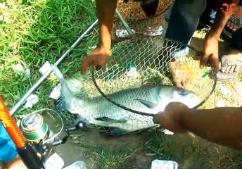 Download Video: অভিজ্ঞ শিকারির বড় মাছ শিকারFishing Video Fishing With a Hook in The Village Pond _ Big Fish Video